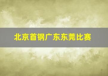 北京首钢广东东莞比赛