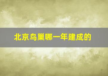 北京鸟巢哪一年建成的