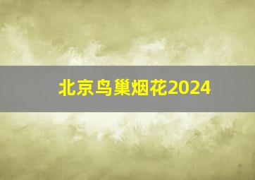 北京鸟巢烟花2024