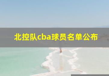 北控队cba球员名单公布