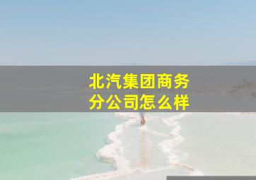 北汽集团商务分公司怎么样