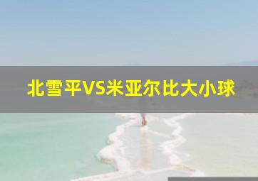 北雪平VS米亚尔比大小球