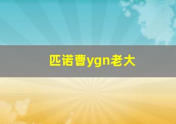 匹诺曹ygn老大