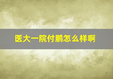 医大一院付鹏怎么样啊