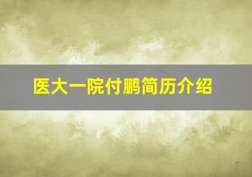 医大一院付鹏简历介绍