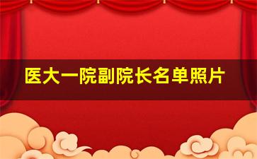 医大一院副院长名单照片