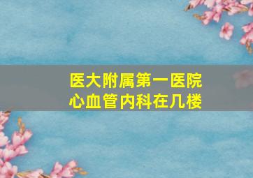 医大附属第一医院心血管内科在几楼