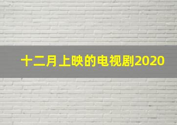 十二月上映的电视剧2020