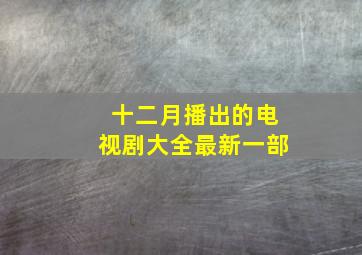 十二月播出的电视剧大全最新一部