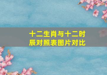 十二生肖与十二时辰对照表图片对比