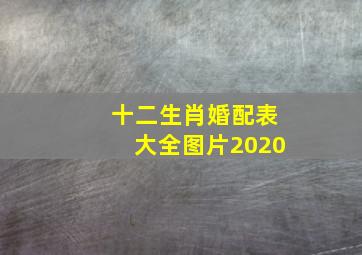 十二生肖婚配表大全图片2020