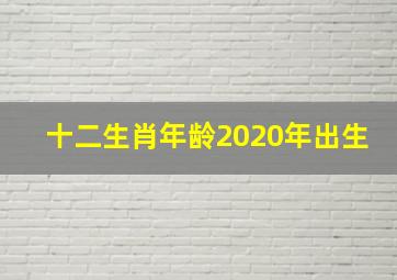 十二生肖年龄2020年出生