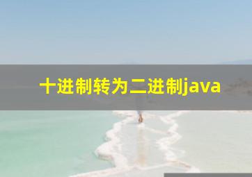 十进制转为二进制java