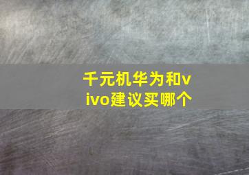 千元机华为和vivo建议买哪个