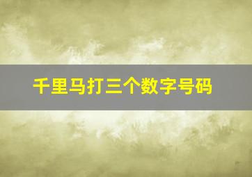 千里马打三个数字号码