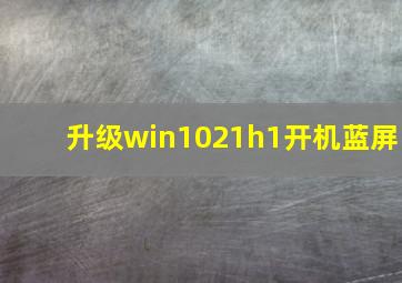 升级win1021h1开机蓝屏