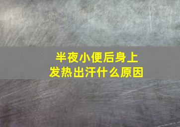 半夜小便后身上发热出汗什么原因