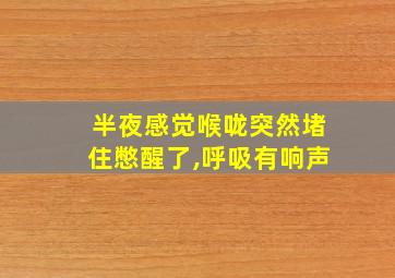 半夜感觉喉咙突然堵住憋醒了,呼吸有响声