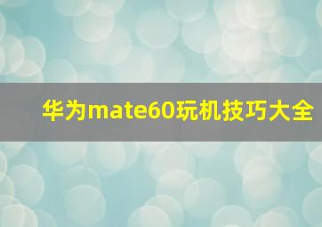 华为mate60玩机技巧大全