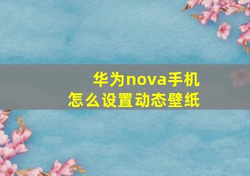 华为nova手机怎么设置动态壁纸