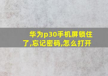 华为p30手机屏锁住了,忘记密码,怎么打开