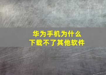 华为手机为什么下载不了其他软件