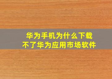 华为手机为什么下载不了华为应用市场软件