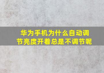 华为手机为什么自动调节亮度开着总是不调节呢