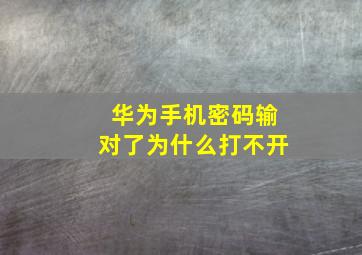 华为手机密码输对了为什么打不开