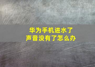 华为手机进水了声音没有了怎么办