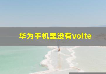 华为手机里没有volte