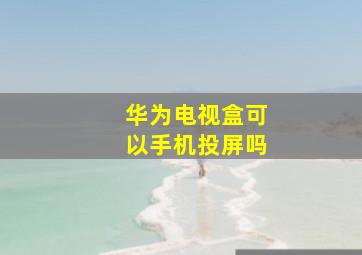 华为电视盒可以手机投屏吗