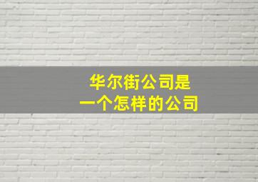 华尔街公司是一个怎样的公司