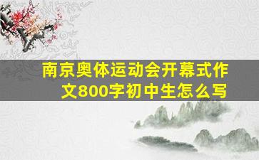 南京奥体运动会开幕式作文800字初中生怎么写