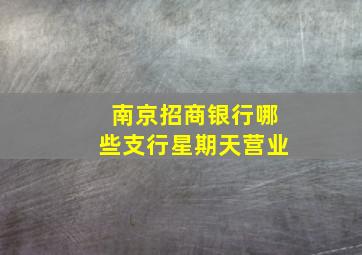 南京招商银行哪些支行星期天营业