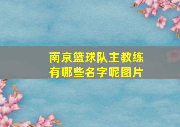 南京篮球队主教练有哪些名字呢图片