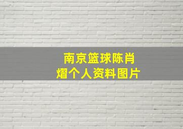 南京篮球陈肖熠个人资料图片