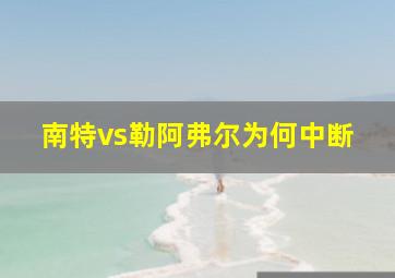 南特vs勒阿弗尔为何中断