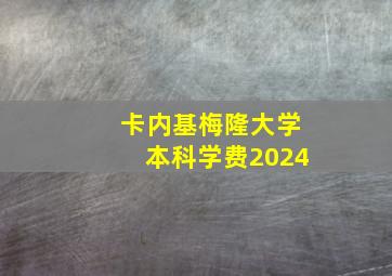 卡内基梅隆大学本科学费2024