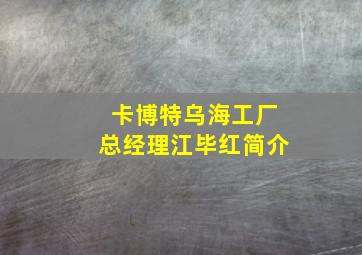 卡博特乌海工厂总经理江毕红简介