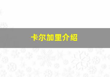 卡尔加里介绍