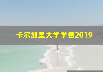 卡尔加里大学学费2019