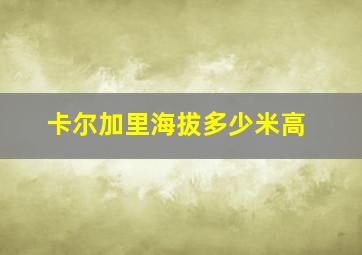 卡尔加里海拔多少米高