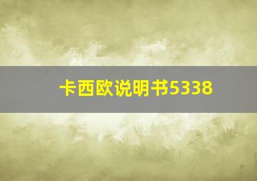 卡西欧说明书5338