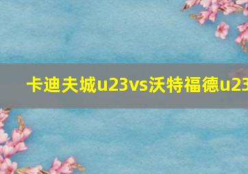 卡迪夫城u23vs沃特福德u23