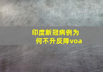 印度新冠病例为何不升反降voa