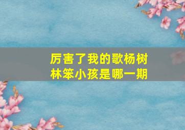 厉害了我的歌杨树林笨小孩是哪一期