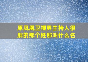 原凤凰卫视男主持人很胖的那个姓那叫什么名