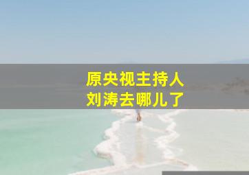 原央视主持人刘涛去哪儿了