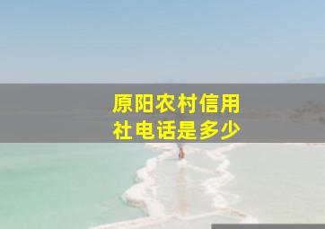 原阳农村信用社电话是多少